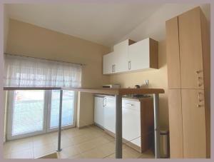 a small kitchen with a counter and a refrigerator at Apartmány Tiva in Ostrava
