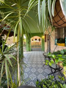 un hall avec une table et des plantes dans l'établissement Casa Camellia metula, à Metulla
