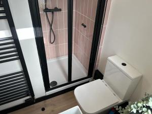 a bathroom with a white toilet and a shower at Caernarfon modern townhouse Snowdonia in Caernarfon +6 photos