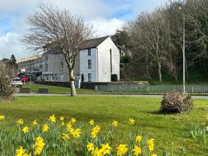 a field of yellow flowers in front of a white house at Caernarfon modern townhouse Snowdonia in Caernarfon