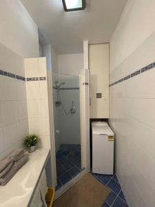 a bathroom with a shower and a toilet and a sink at Apartmán Obchodná in Staré Mesto