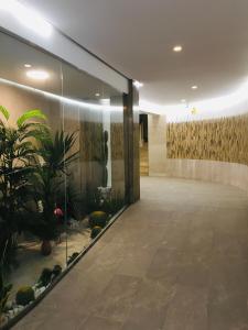 an office lobby with a large glass wall with plants at TODIMER TORRECOSTA in Torrenueva