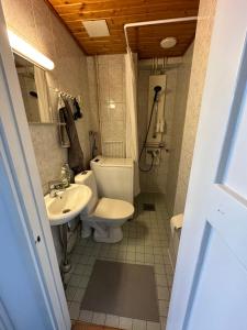 a bathroom with a toilet and a sink at Cozy apartment in Vallila - Helsinki in Helsinki