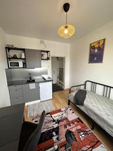 a kitchen and living room with a bed and a table at Cozy apartment in Vallila - Helsinki in Helsinki