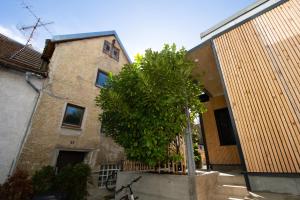 a tree is in front of a building at Kubus in Memmingen