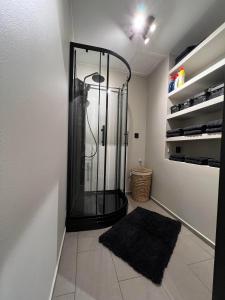 ein Bad mit einer Dusche und einem schwarzen Teppich in der Unterkunft Notodden Sentrum Apartment NO 11 in Notodden