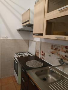 una piccola cucina con lavandino e piano cottura di Szava Angel a Budapest