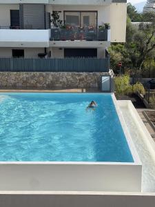 un perro nadando en una piscina frente a una casa en Très bel appartement dans résidence avec piscine à 5min des plages de Villeneuve Loubet., en Villeneuve-Loubet
