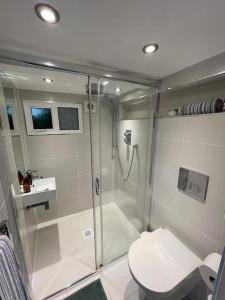 a bathroom with a shower and a toilet at Garden Room @ Bosanath Mill in Falmouth