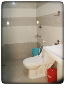 een badkamer met een toilet en een wastafel bij Kullu Manali Homestay in Kulu