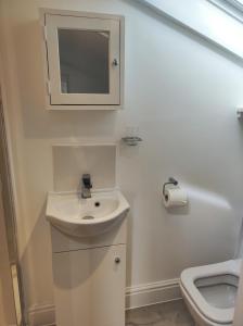 een witte badkamer met een wastafel en een toilet bij Pleasant streams Barn in St Austell