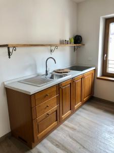 eine Küche mit einer Spüle und einer Arbeitsplatte in der Unterkunft CasaTati in Molina di Ledro