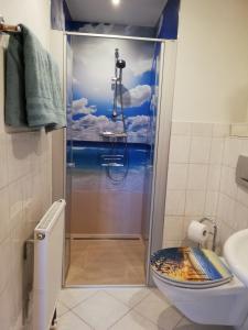 a bathroom with a shower with a toilet at Ferienapartment Brandstatt in Seeg