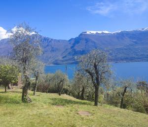 a view of a lake with trees and mountains at Appartamenti Helios in Limone sul Garda