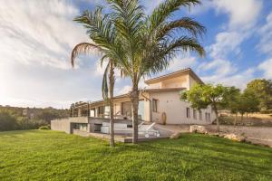 a palm tree in front of a house at Villa bonita con vistas espectaculares, perfecto para familias in Palma de Mallorca