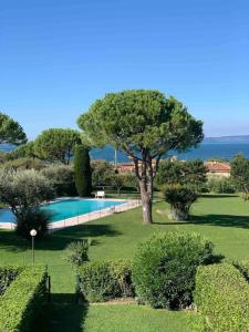a garden with a swimming pool and a tree at Tennis / Pool / Barbecue in Bardolino