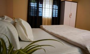 a bedroom with two beds with white pillows and a plant at Yellow Sapphire, Premium Sikkimese Homestay in Gangtok