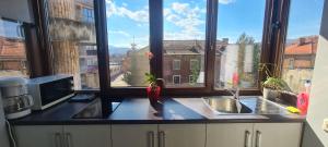 ペトロシャニにあるComfort Home Apartment 1のシンクと窓のあるキッチンカウンター +4枚の写真