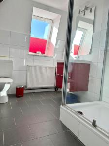ein Bad mit einer Dusche, einem WC und einem Waschbecken in der Unterkunft Ferienwohnung Nord in Fehmarn
