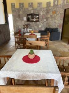 una mesa con un cactus en la sala de estar en Pousada Lampião e Maria Bonita, en Natal