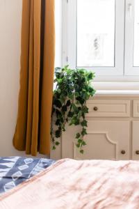 una planta sentada junto a una ventana junto a una cama en Appartement entièrement rénové et cosy avec jardin, en Mulhouse