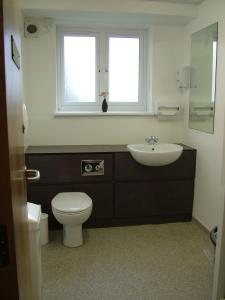 a bathroom with a sink and a toilet and a window at McIntosh Hall Campus Accommodation in St. Andrews