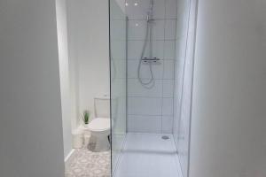 La salle de bains est pourvue d'une douche et de toilettes. dans l'établissement Cozy and Modern 2-bed apartment, à Swansea