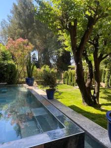 una piscina en un jardín con árboles y plantas en Charming appartement in a Manor in Cannes, en Cannes