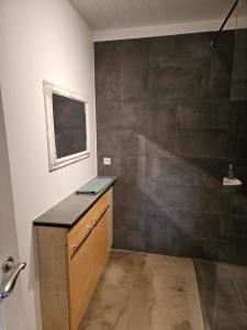 ein Bad mit einer Theke und einer Dusche in einem Zimmer in der Unterkunft Apartment for 4 guests in Hvolsvöllur