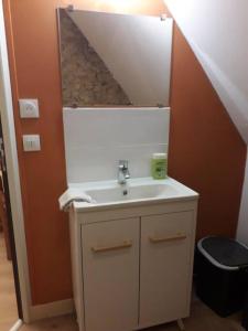 ein Bad mit einem Waschbecken und einem Spiegel in der Unterkunft Appartement la Roche Bernard in La Roche-Bernard