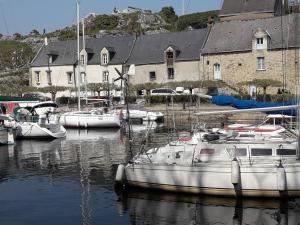 Eine Gruppe von Booten liegt in einem Hafen vor Anker. in der Unterkunft Appartement la Roche Bernard in La Roche-Bernard