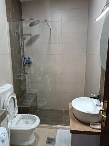 uma casa de banho com um chuveiro, um WC e um lavatório. em Guesthouse BiT Accommodation em Kotor