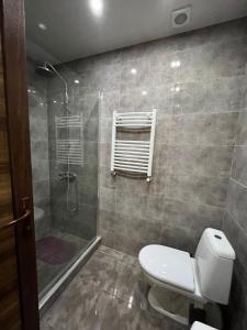 y baño con aseo y ducha. en Villa Deluxe Premium Apartment 308, en Bakuriani