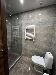 a bathroom with a toilet and a shower at Villa Deluxe Premium Apartment 308 in Bakuriani +15 photos