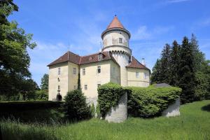 een oud kasteel met een toren erop bij Ferienhaus ZUR ALTEN FORSTKANZLEI in Wald