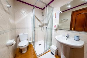 a bathroom with a toilet and a sink and a shower at CASA RURAL BARAZAR in San Sebastián