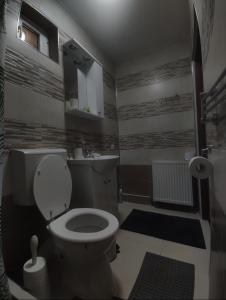ein Badezimmer mit Toilette und Waschbecken in der Unterkunft Fanea Residence in Sibiu