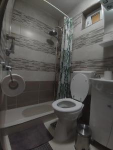 ein Badezimmer mit Toilette und Dusche in der Unterkunft Fanea Residence in Sibiu