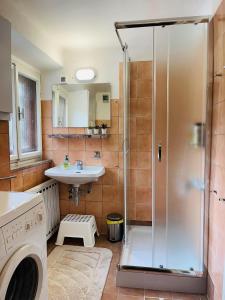 a bathroom with a shower and a sink and a washing machine at Red Beech Cabin at Lake Bohinj & Triglav National Park in Bohinj