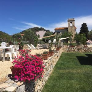 Zahrada ubytování Villa Aiali + 26 fotografií