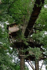 Cabane Perchée dans les Arbres في Saint-Hilaire-en-Morvan: بيت شجرة وسط بعض الاشجار