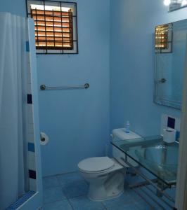 a bathroom with a toilet and a glass sink at Seascape Villa 2BR with Stunning Caribbean Sea View in Charlotte