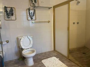 La salle de bains est pourvue de toilettes et d'une cabine de douche. dans l'établissement Casa Clemente Lachigoló, à San Francisco Lachigoló