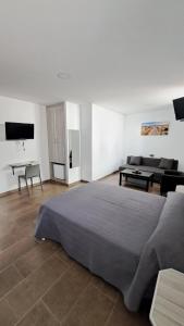 Televízia a/alebo spoločenská miestnosť v ubytovaní Hostal Maria Jose