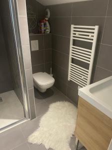 Kúpeľňa v ubytovaní Beau appartement calme à partager