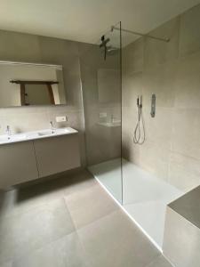 デ・パンネにあるVilla 'T Zeehuysjeのバスルーム(ガラス張りのシャワー、シンク付)
