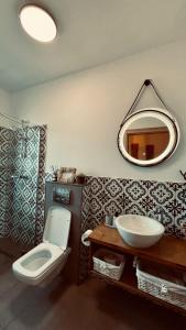 a bathroom with a sink and a toilet and a mirror at Casa de sub Munte Fundata2 in Fundata