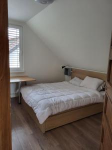 1 dormitorio con cama, escritorio y ventana en Blatnica Bee494 Apartment, en Blatnica