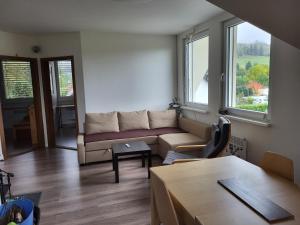 sala de estar con sofá y 2 ventanas en Blatnica Bee494 Apartment, en Blatnica
