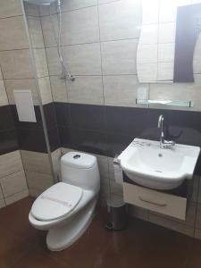 een badkamer met een toilet en een wastafel bij Апартамент Quattro in Dobrich